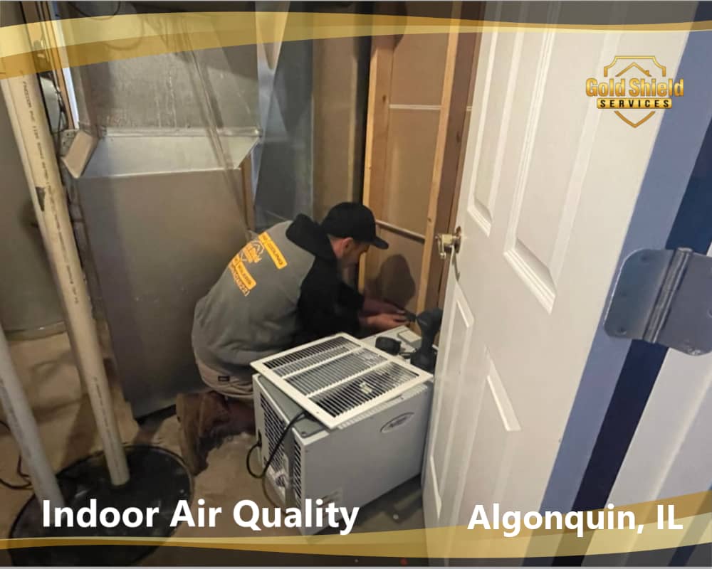 indoor air quality service near algonquin illinois
