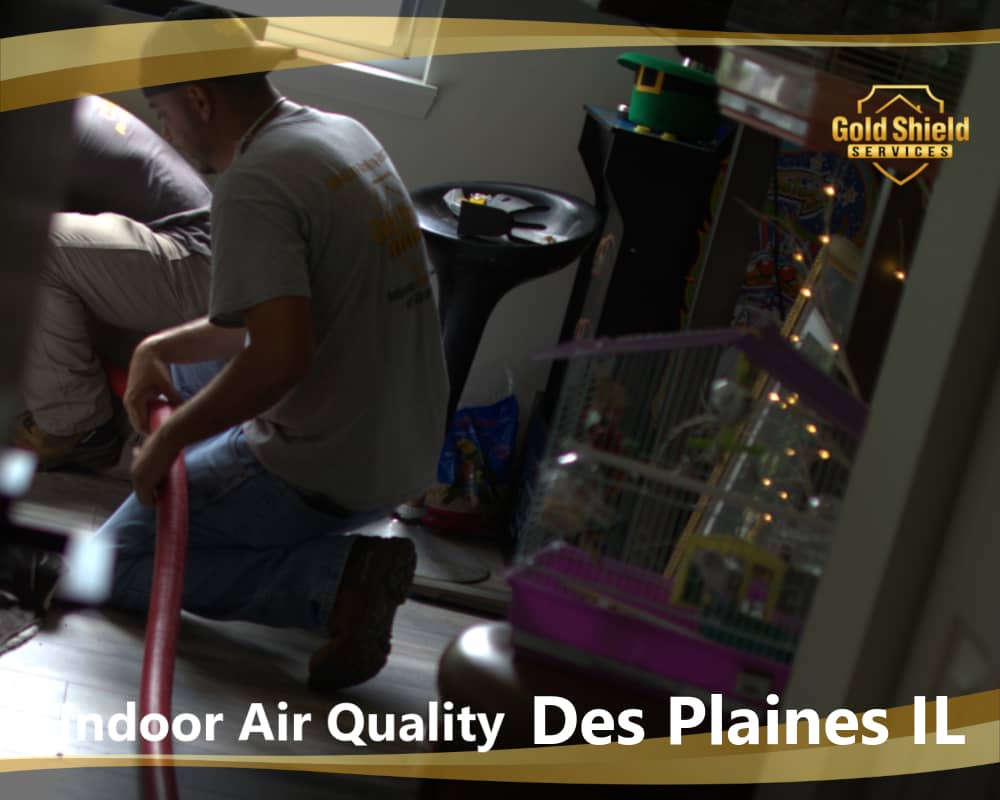 indoor air quality service near des plaines il